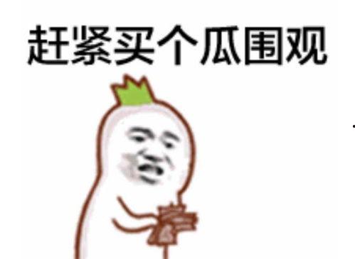 网红吃瓜表情包是谁啊,揭秘网红吃瓜表情包背后的神秘人物