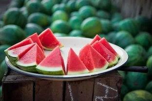 东北哪个网红吃酸瓜最多,谁才是瓜界王者？”