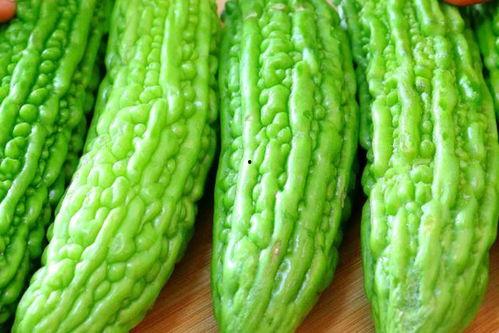 东北哪个网红吃酸瓜最多,谁才是瓜界王者？”