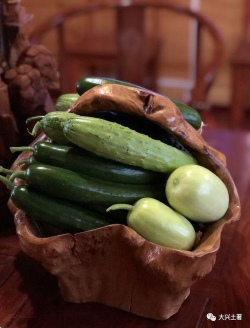 海陵区网红吃瓜,揭秘幕后故事与热门话题