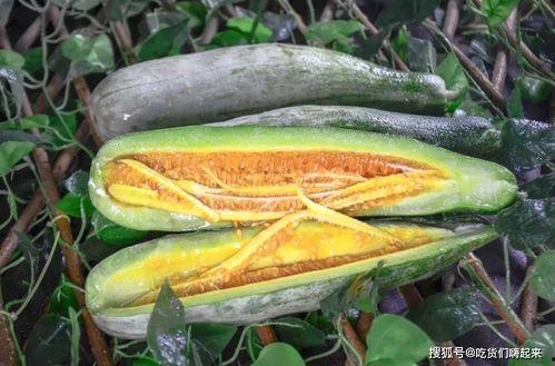 海陵区网红吃瓜,揭秘幕后故事与热门话题