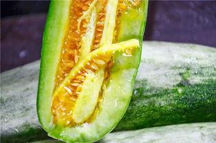 海陵区网红吃瓜,揭秘幕后故事与热门话题