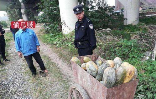 武都网红吃瓜事件视频完整版,揭秘视频完整版背后的真相与争议