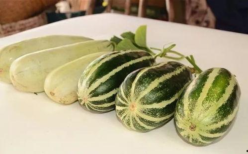 qq吃瓜网红图片大全