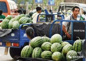 沭阳男网红吃瓜事件,网络舆论场再掀波澜