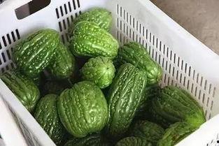 51黑瓜吃料网干什么的,专业食材信息平台深度解析