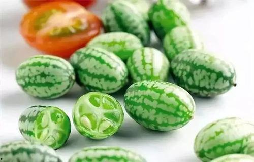 51黑瓜吃料网干什么的,专业食材信息平台深度解析