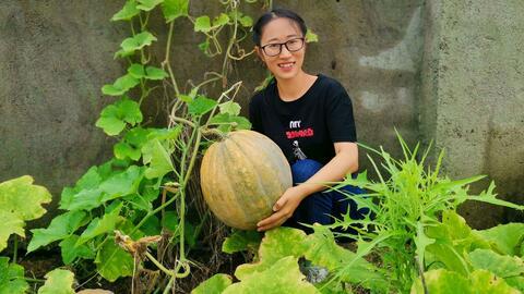 农村吃瓜网,揭秘乡村生活趣味，畅享田园风光