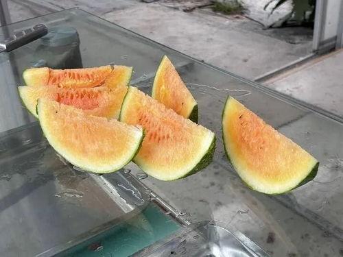 农村吃瓜网,揭秘乡村生活趣味，畅享田园风光