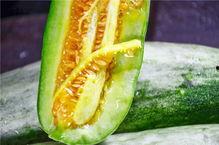 保山网红吃瓜,揭秘幕后故事与热门话题