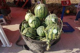 吃瓜网太一本营,揭秘吃瓜网热门话题背后的真相