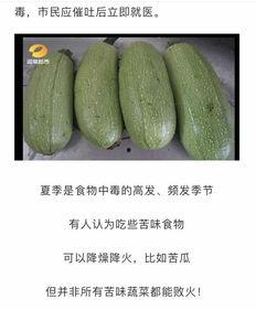 吃瓜网还能进吗,还能畅游瓜田吗？