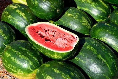 吃瓜网高清素材下载