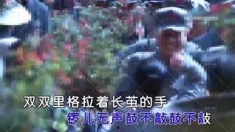 苗疆星星定制视频吃瓜网,揭秘吃瓜网背后的神秘故事